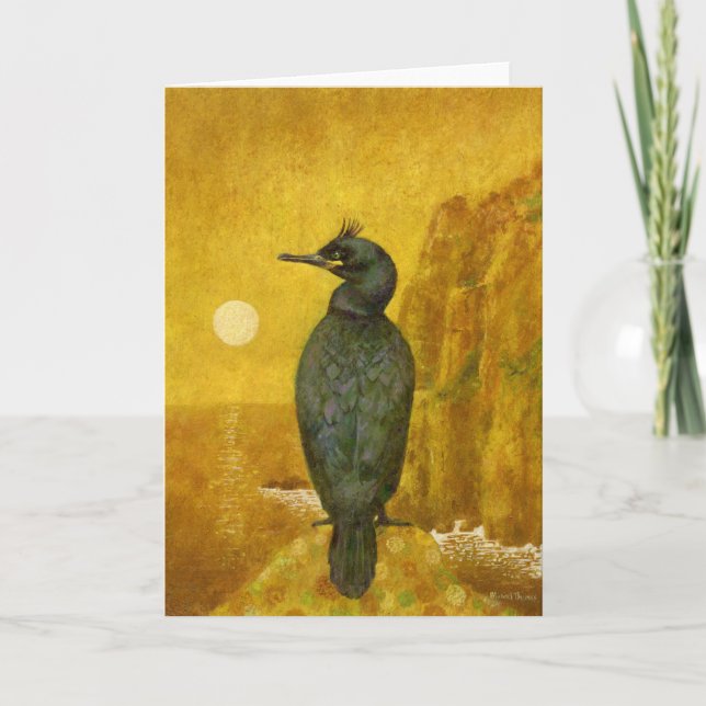 Shag Seabird vid Guld Kort (Framsida)