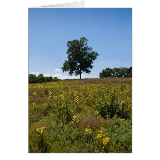 Shagbark Hickory-Charles flodpeninsula Hälsningskort