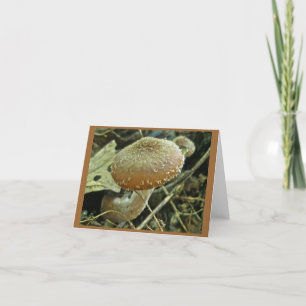 Shaggy Cap Mushroom-anteckningskort Kort
