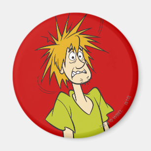 Shaggy Frighted Magnet