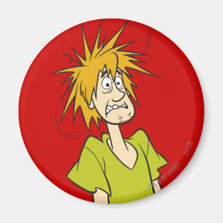 Shaggy Frighted Magnet