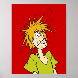 Shaggy Frighted Poster