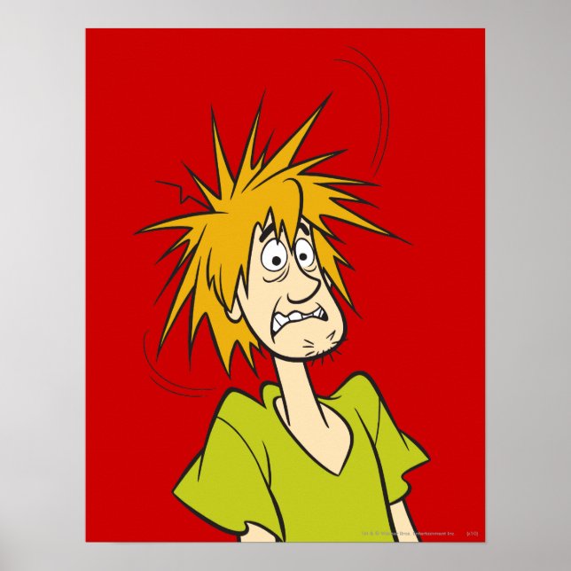 Shaggy Frighted Poster (Framsidan)