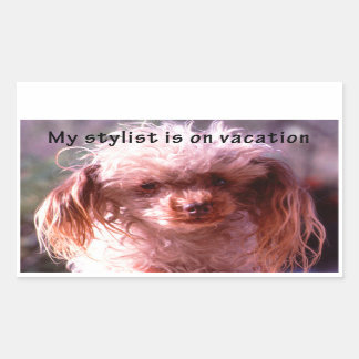 Shaggy Hair Hund Rektangulärt Klistermärke
