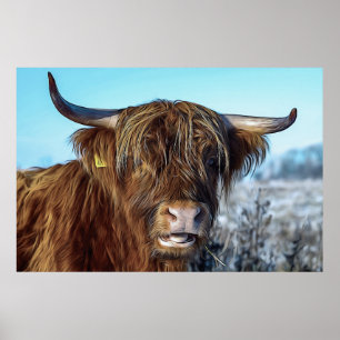 Shaggy Highland Beef Cow Oljemålning Poster
