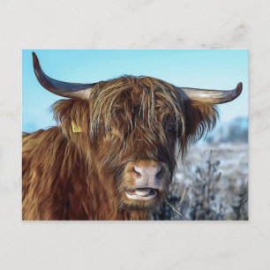Shaggy Highland Beef Cow Oljemålning Vykort