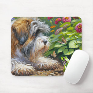 Shaggy Hund in Garden with Frog Musmatta