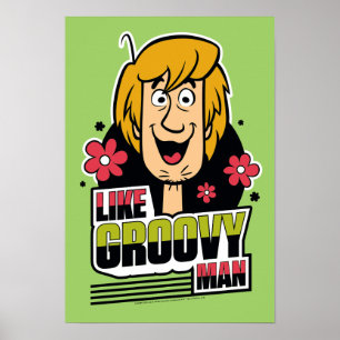 Shaggy "like Groovy Man" Graphic Poster