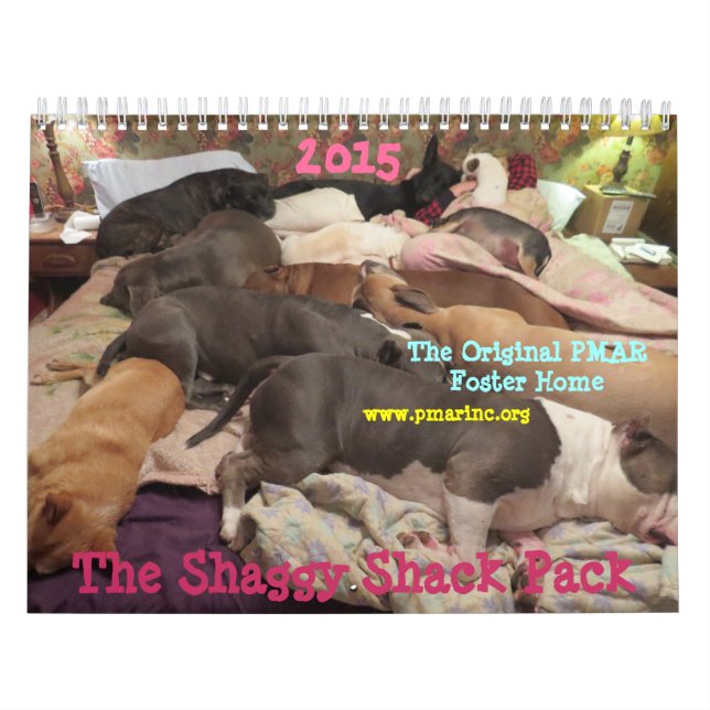 Shaggy Shack Calendar Kalender (Omslag)