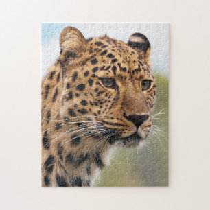 Shaggy Vuxen Cheetah i Vilden Pussel
