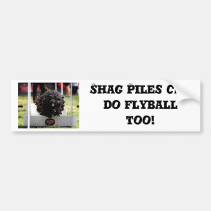 Shaghögar kan göra Flyball för Bildekal