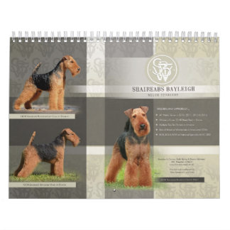 Shaireabs Bayleigh 2014 walesiska Terrierkalender Kalender