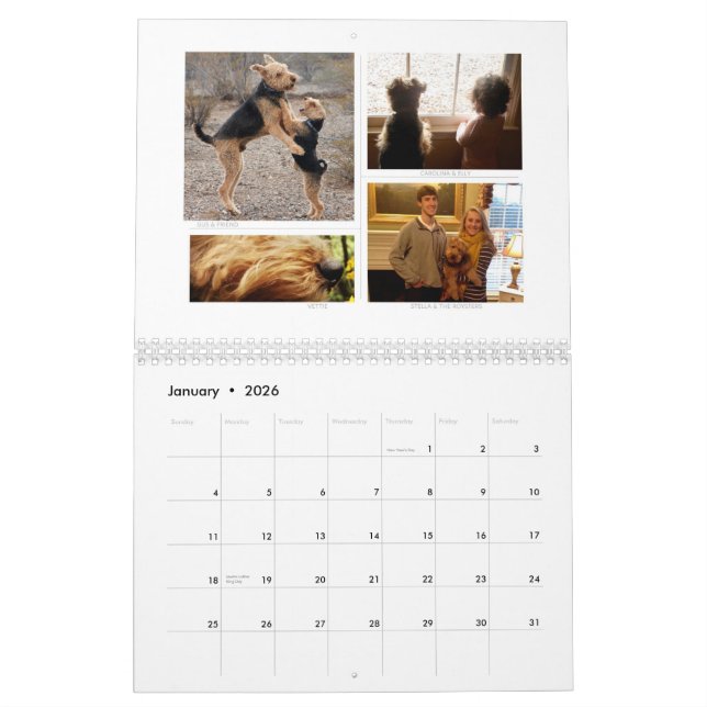 Shaireabs Bayleigh 2014 walesiska Terrierkalender Kalender (Jan 2026)