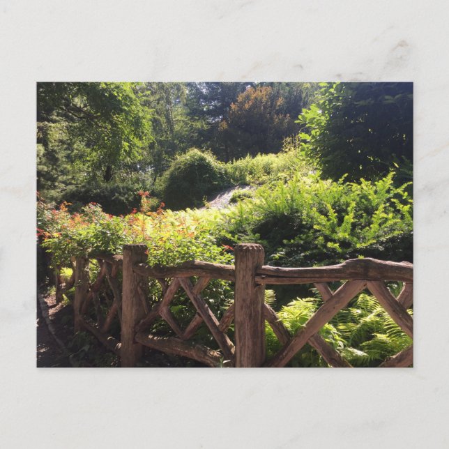 Shakespeare Garden NYC Central Park Fotovykort Vykort (Framsida)