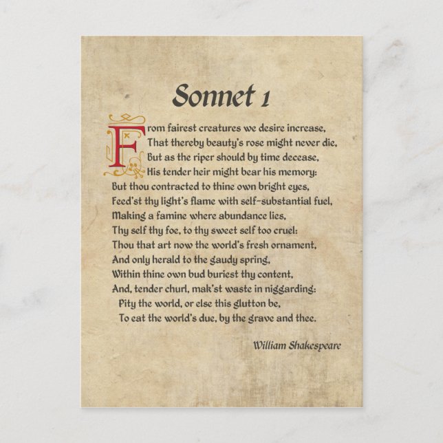 Shakespeare Sonnet 1 Parchment Vykort (Framsida)