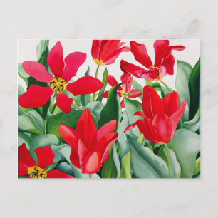 Shakespeare Tulips Vykort