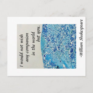 Shakespeare-Vänskap, offert Vykort