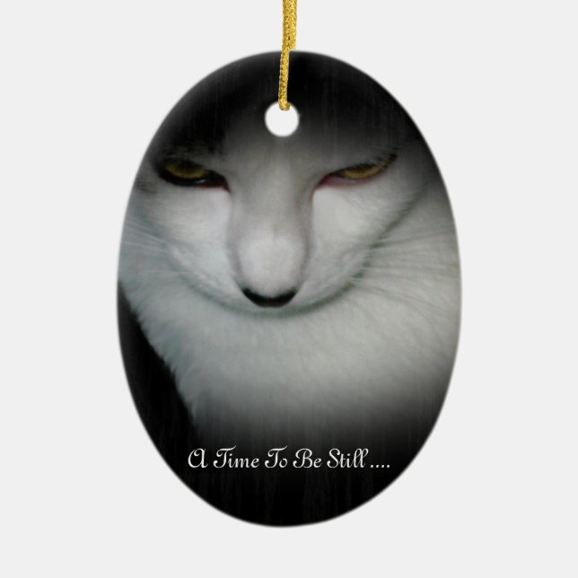 Shakiras Time som är stilla prydnad… Julgransprydnad Keramik (Framsidan)