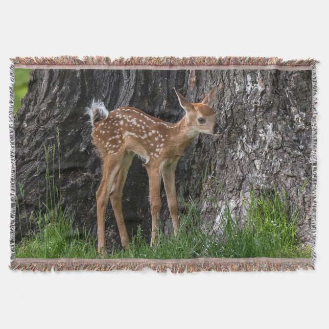 Shaky Ben Fawn Filt (Framsidan)