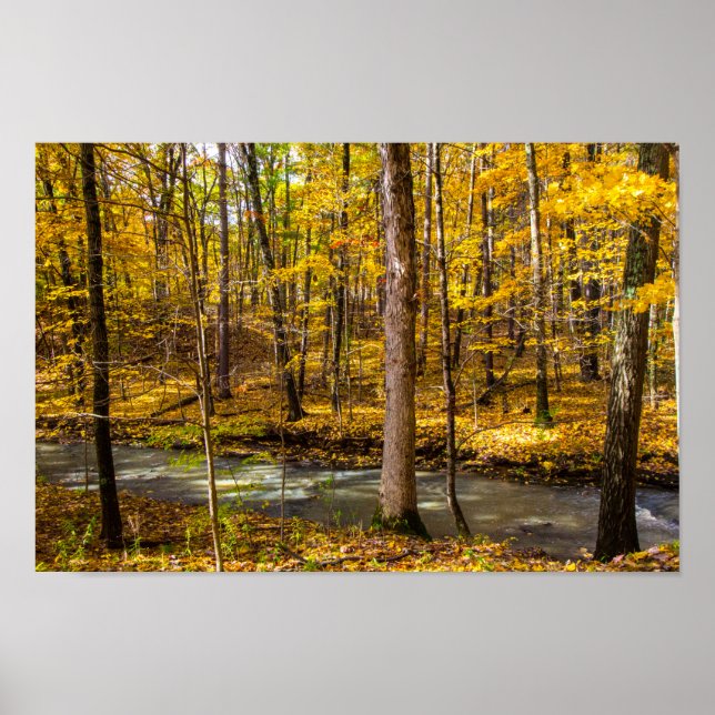 Shale Hollow in Autumn, Lewis Center, Ohio Poster (Framsidan)