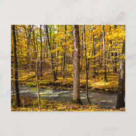 Shale Hollow in Autumn, Lewis Center, Ohio Vykort