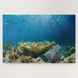 Shallow Coral Reef 20"x30" Pussel