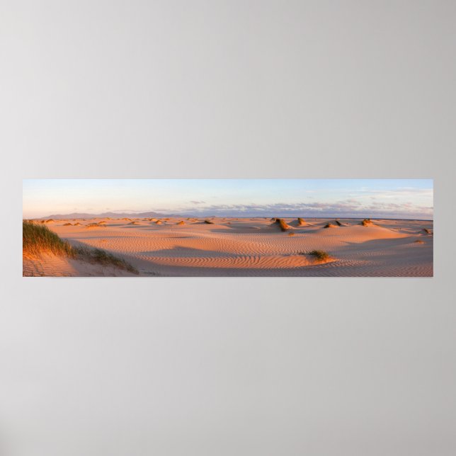 Shallow Inlet Dunes Panorama Poster (Framsidan)