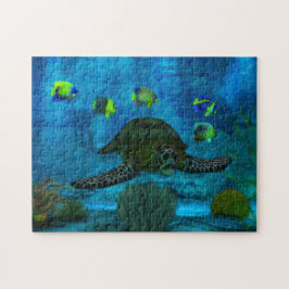 Shallow Vatten Aquatic Pussel