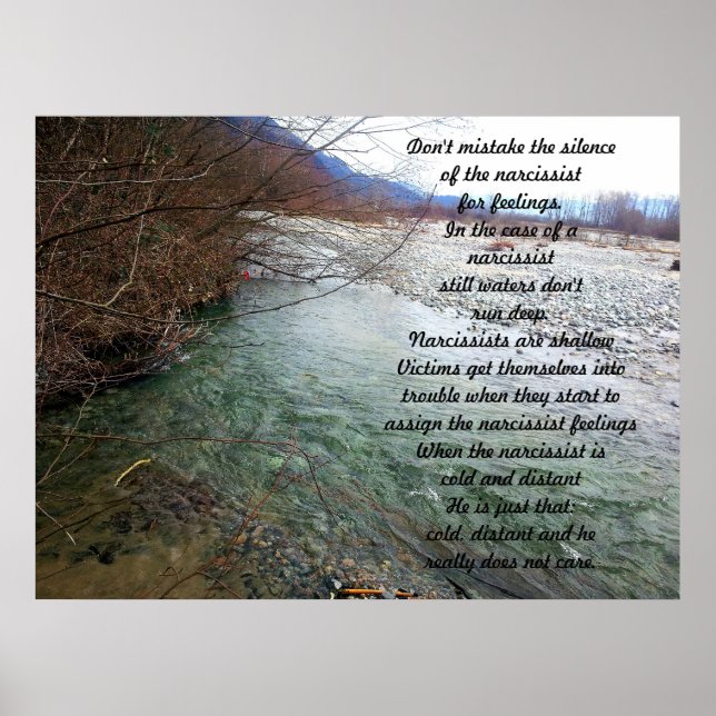 Shallow Vatten - Narcissist Poster (Framsidan)