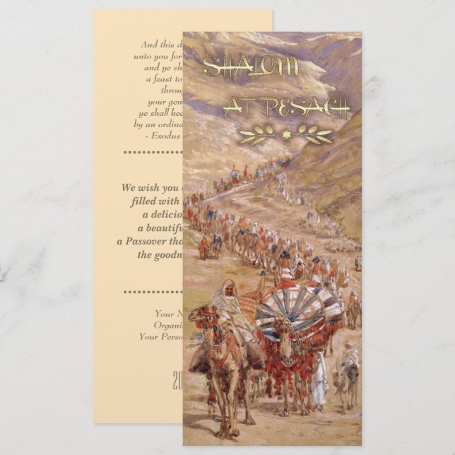 Shalom på Pesach. Fine Art Passover-hälsningskort Kort (Fram/baksida)