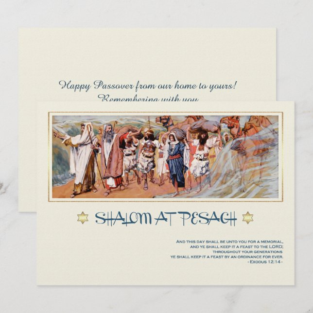 Shalom på Pesach. Fine Art Passover-hälsningskort Kort (Fram/baksida)