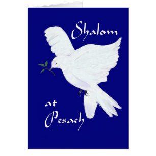 Shalom på Pesach! - Vitfredduva Hälsningskort