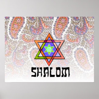 Shalom Rosa Paisley Poster