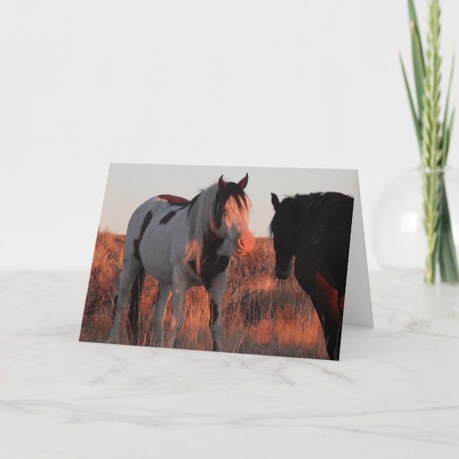 Shaman Foled 5x7 Note Card Anteckningskort (Framsida)