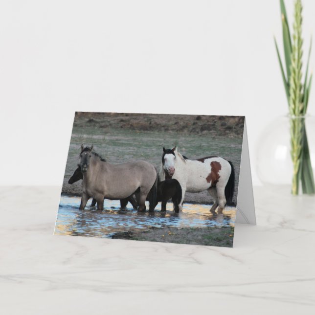 Shaman & Granite ~ Legend Greeting Card Kort (Framsida)