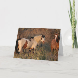 Shaman & Jocelyn Vild Card Tack Kort