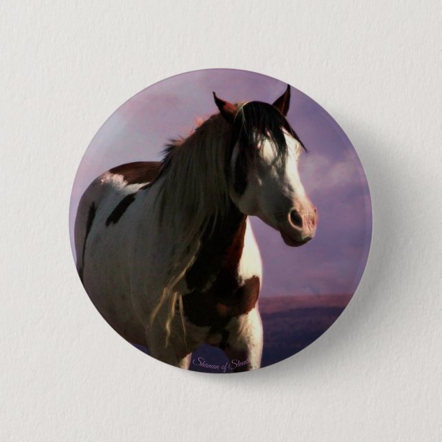 "Shaman of Steens" Knapp  (Framsida)