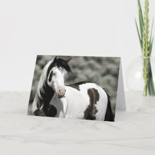 Shaman the Mustang Foled Note Card Anteckningskort