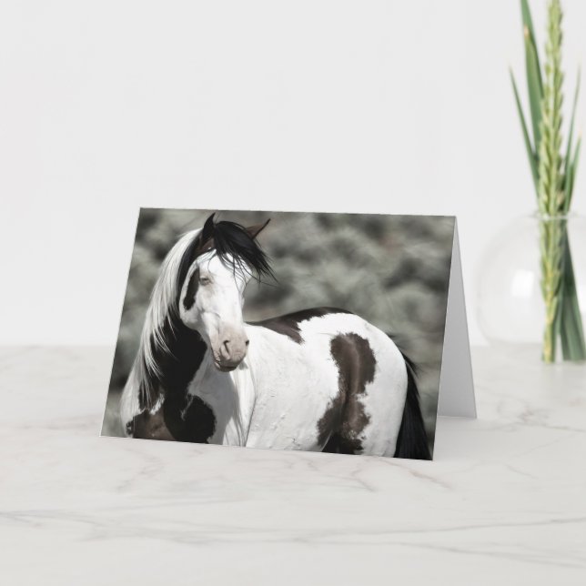Shaman the Mustang Foled Note Card Anteckningskort (Framsida)
