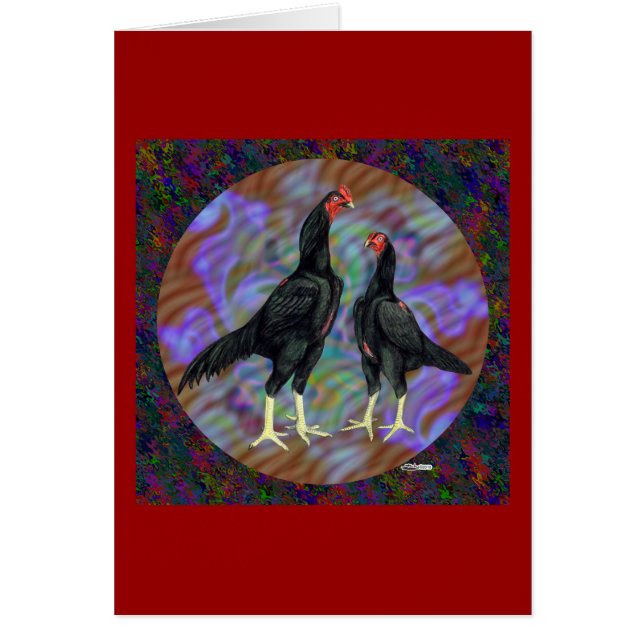 Shamo: Black Pair OBS Kort (Framsidan)