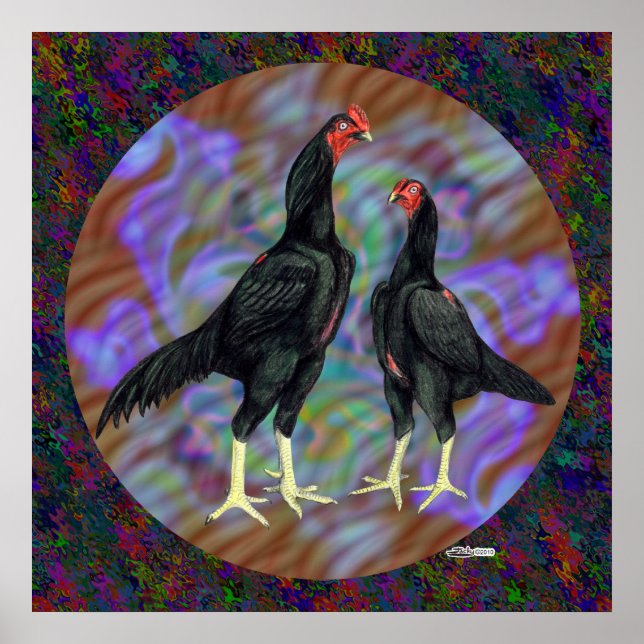 Shamo: Black Pair Poster (Framsidan)