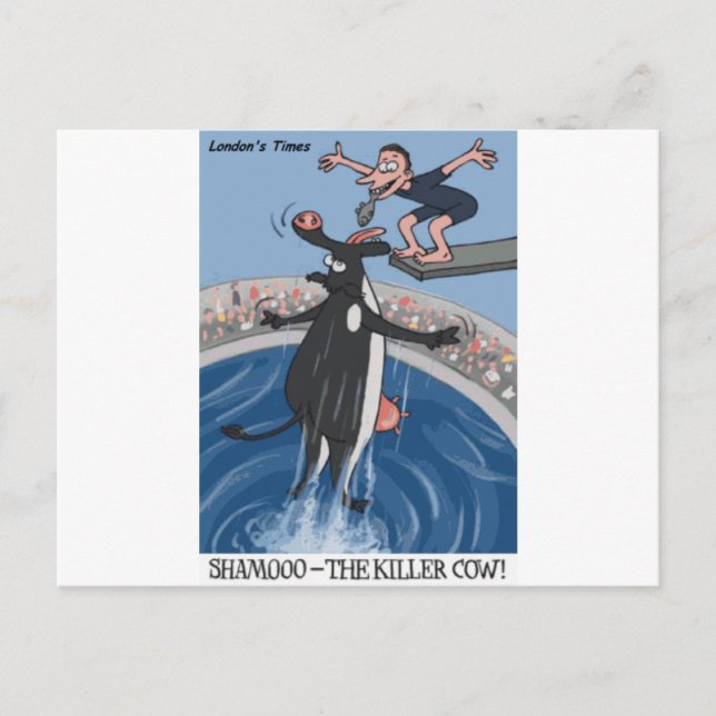 Shamoo Funny Cow Gifts & Collectibles Vykort (Framsida)