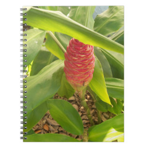 Shampoo Ginger-blomma Anteckningsbok