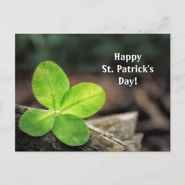 Shamrock 2 St. Patrick's Day Postcard Vykort (Framsida)