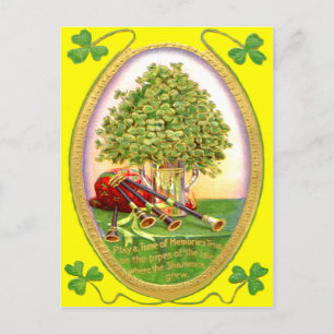 Shamrock Bagpipes Guld Grönt Vykort