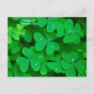 Shamrock-bild för vykort