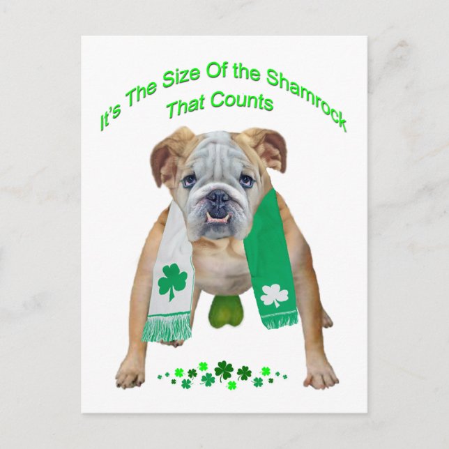 Shamrock Bulldog St. Patrick's Day Vykort (Framsida)