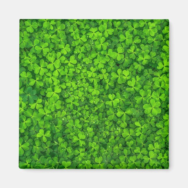 Shamrock green, St. Patrick's Day, Magnet (Framsidan)