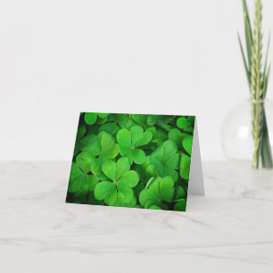 Shamrock Grönt St patrick's day Tack Kort