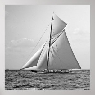 Shamrock II vid Yttre Mark 1901 BW Poster
